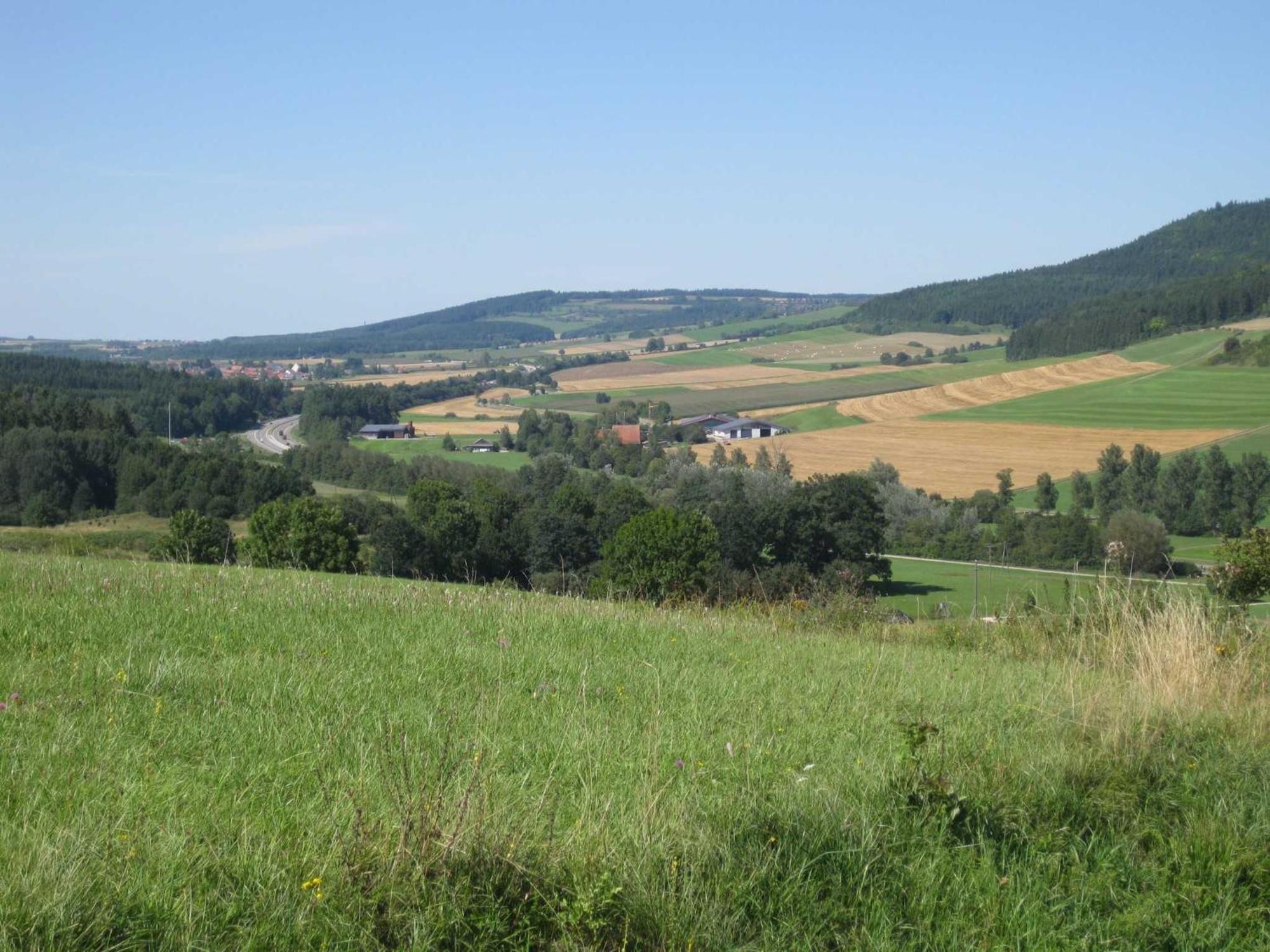 Haus Rehblick Apartment Braunlingen Bagian luar foto